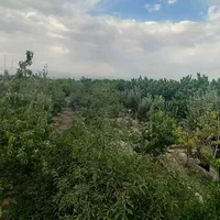 باغ ۲۷۰۰ متری در گلبهار|فروش زمین و ملک کلنگی|مشهد, امامیه (شهرک غرب)|دیوار