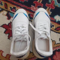 کفش اسپورت شماره ۴۰|کیف، کفش، کمربند|تبریز, |دیوار