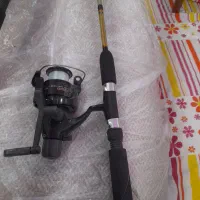 لنسر ماهیگیری