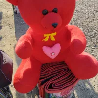 خرس بزرگ بصورت عمده