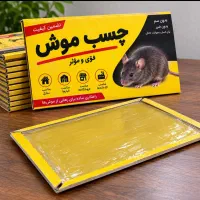 چسب موش