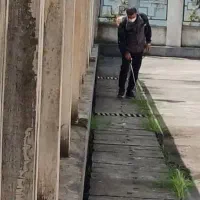 سمپاشی سوسک ساس و کنه وکلیه حشرات۱۰۰درصد تضمینی