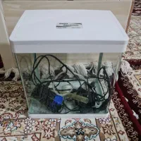 آکواریوم دلسا نو نو آک بند فروش میرسد