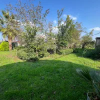 گلخانه|فروش دفتر صنعتی، کشاورزی، تجاری|رشت, حومه رشت|دیوار