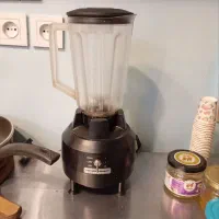 بلندر همیلتون بیچ