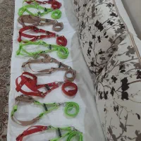 زنجیر|لوازم جانبی حیوانات|مسجد سلیمان, |دیوار