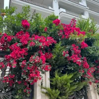 آپارتمان متل قو بهترین لوکیشن|فروش آپارتمان|سلمان‌شهر, |دیوار