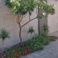 خدمات باغبانی و دکوراسیون،