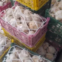 سیر و موسیر همدان|خوردنی و آشامیدنی|تهران, مطهری|دیوار