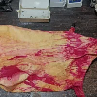 نی انبان|سازهای سنتی|برازجان, |دیوار