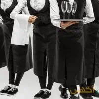 ویتر و سالنکار حرفه ای