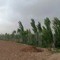 500-متر-زمین-باغچه-با-سند-تک-برگ-و-آب-لوله-کشی