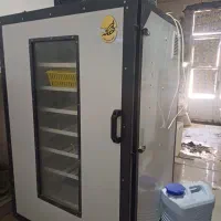 دستگاه جوجه کشی فاخته