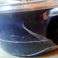 قابلمه|ظروف پختوپز|رشت, کاکتوس|دیوار