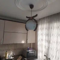 ۱شاخه