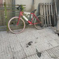 دوچرخه مسابقات جهانی