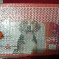 سینی ادرار سگ