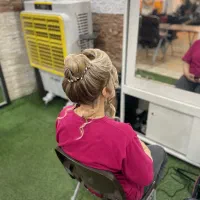 شنیونکار حرفه ای