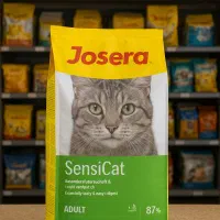 پت شاپ|لوازم جانبی حیوانات|رشت, کوی جام جم|دیوار