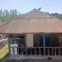 رشت ویلاجنگلی۴۵۰متر سراوان کچا قاضیان سنگر