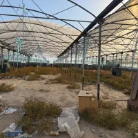 سازه گلخانه دست دوم در حد نو|ماشینآلات صنعتی|رباطکریم, الارد|دیوار