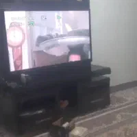 مداربسته ۸ کانال