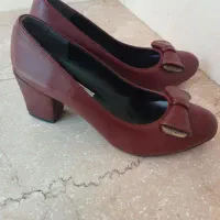 دوجفت کفش مجلسی