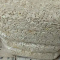 تیوم گرگه|گل و گیاه طبیعی|ایوان, |دیوار
