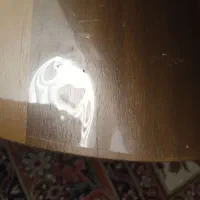 یک عدد النگو