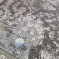 دو عدد فرش ۹متری وینتیج|فرش|کوهدشت, |دیوار