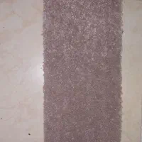 موکت ظریف مصور