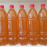 آبغوره اصل  شربت گل و نعنا و ترشی لیته
