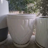 گلدان سفید