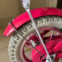 دوچرخه صورتی کاملا نو دخترانه|دوچرخه، اسکیت، اسکوتر|قزوین, |دیوار