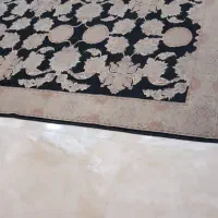 قالیچه|فرش|نوشهر, |دیوار