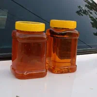 عسل اسفراین