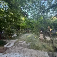 باغ-شهر-تاپ-لوکیشن-کسایی