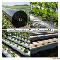 روکش پلاستیکی زیر درخت و زمین کشاورزی بازدهی بالا|خدمات باغبانی و درختکاری|اصفهان, نمایشگاه بین المللی اصفهان|دیوار