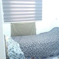 فروش آپارتمان تکخواب عالی شهر|فروش آپارتمان|بوشهر, |دیوار