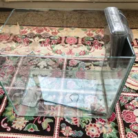 اکواریوم