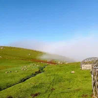 سنگ مشکوک شهاب سنگ