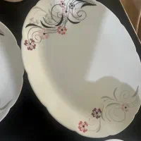سرویس پذیرایی ارکوپال دسینی|ظروف سرو و پذیرایی|تهران, شهرک گلها (تهرانسر)|دیوار
