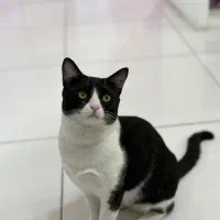 گمشده مژدگانی داره