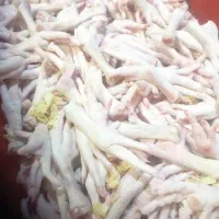 اسکلت گردن مرغ پای مرغ