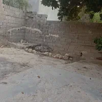 فروش خونه ویلایی|فروش خانه و ویلا|بندر دیر, |دیوار