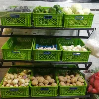 استندمیوه 9سبدی