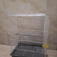 قفس پرنده