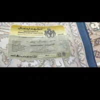 فرش ۱۲متری|فرش|کاشان, راوند|دیوار