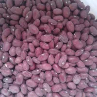 لوبیا قرمز|خوردنی و آشامیدنی|کرج, حسن آباد|دیوار