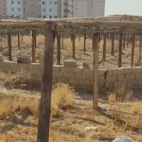 فروش چند جریب چوب گلخانه (توافقی)|عمدهفروشی|اصفهان, شفق|دیوار